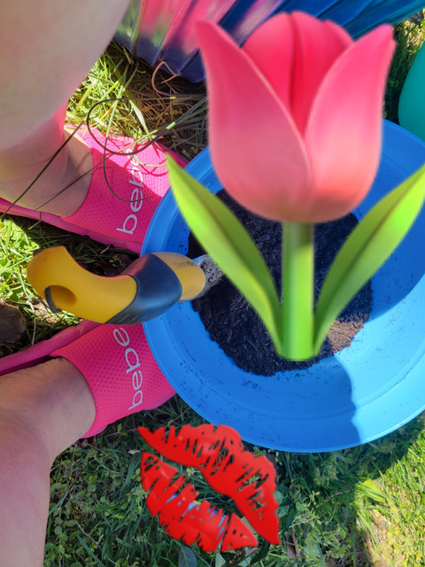 Footloose profile picture