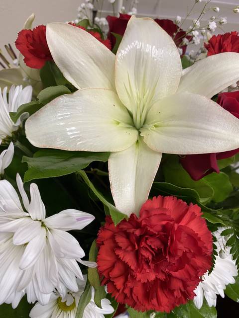 @misscynful nude misscynful nude