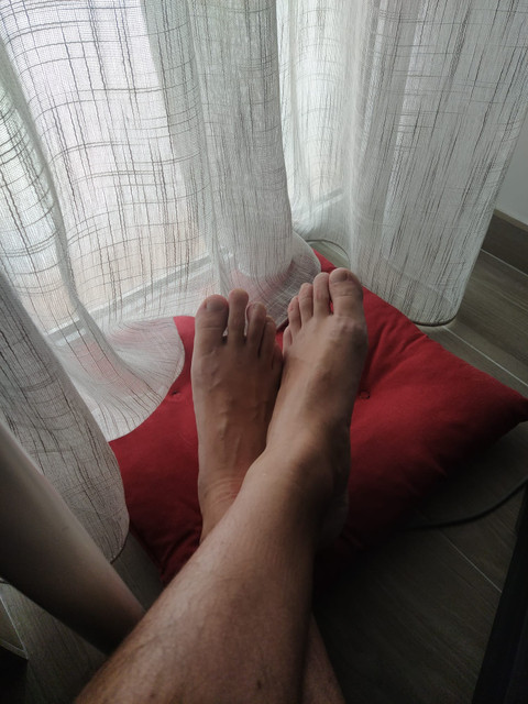 Bob and Chomp profile picture