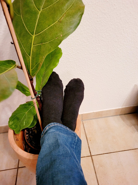 Amazing Feetures profile picture