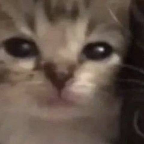 @kepega nude kepega nude