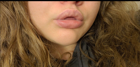 Kitten profile picture