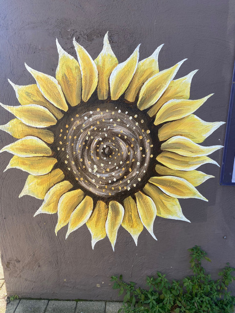 Cait profile picture