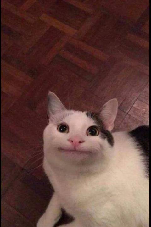 @selenasworldd @selenasworldd