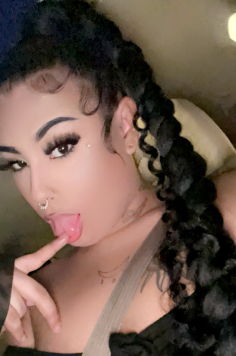 TransDoll profile picture