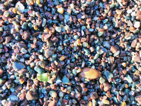 @lunamoth38 nude lunamoth38 nude