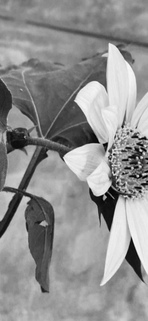 @khataleya99 nude khataleya99 nude