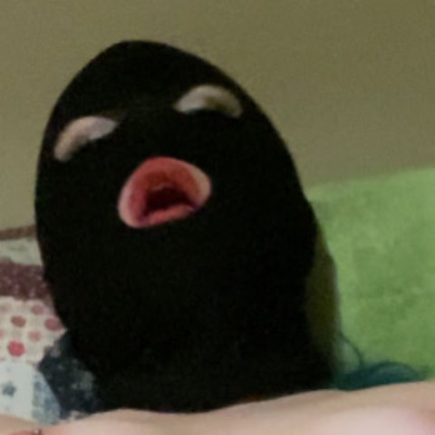 crumb/ miss ramona profile picture