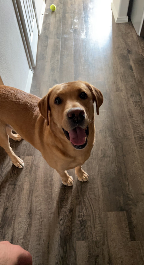 Riley profile picture