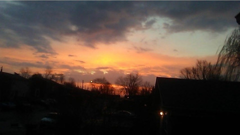 Alt_Kitten profile picture