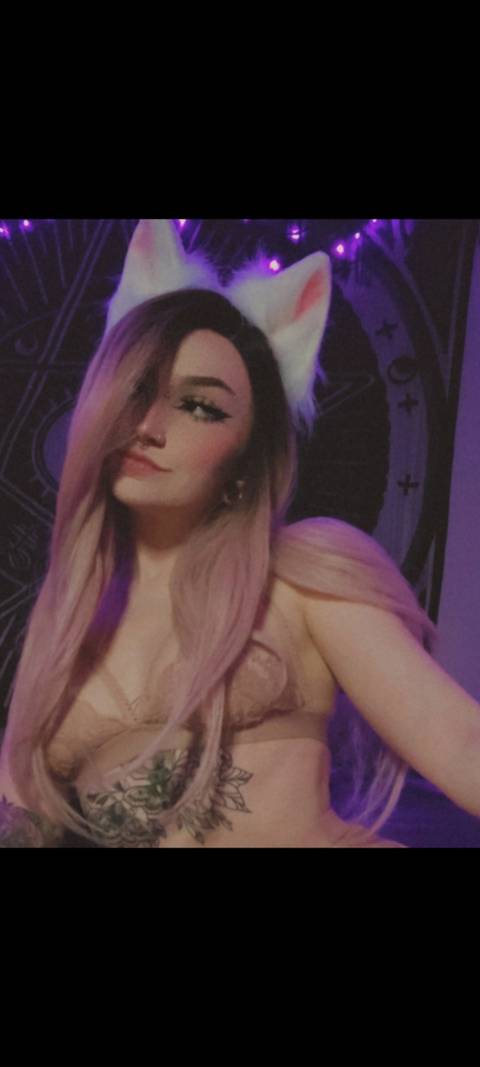 @coyotebxnes @coyotebxnes