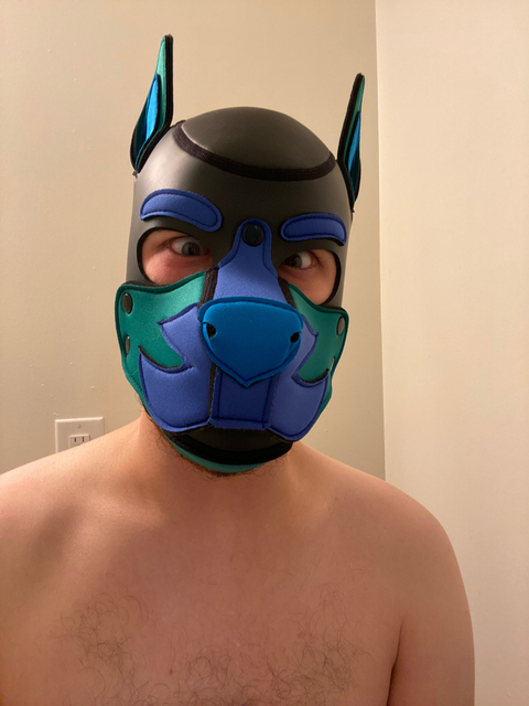 @pup_orion