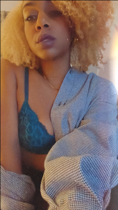 asha 🦊🖤 profile picture