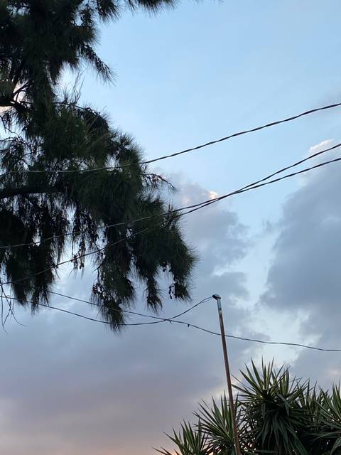 @andrea_yoali nude andrea_yoali nude