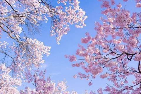 @jaylablissfree nude jaylablissfree nude