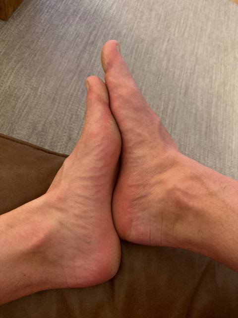 Freddie’s Feet profile picture