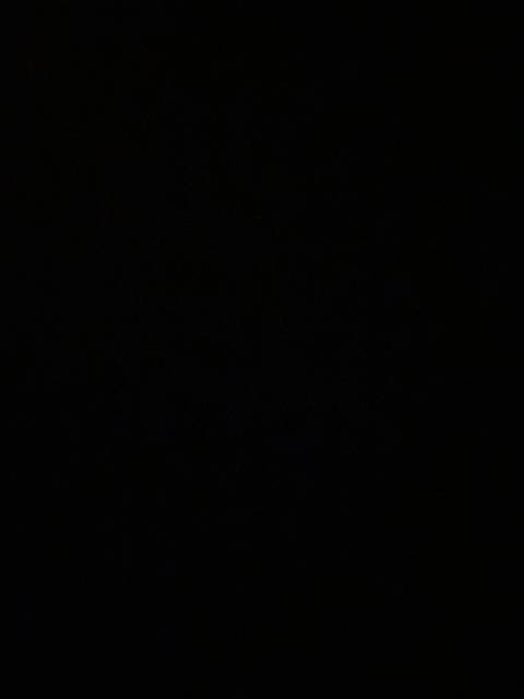 @shellfr nude shellfr nude