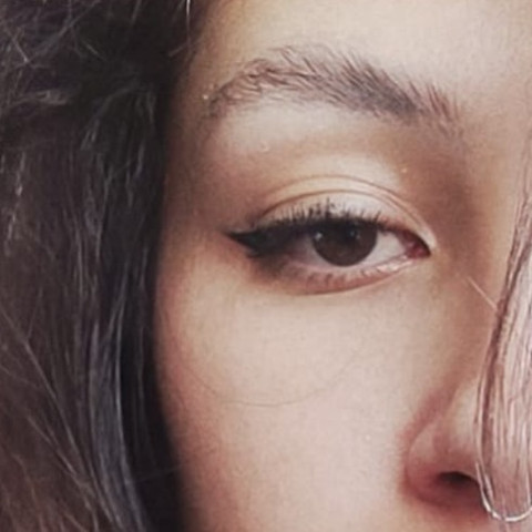 Ana Sabandija profile picture