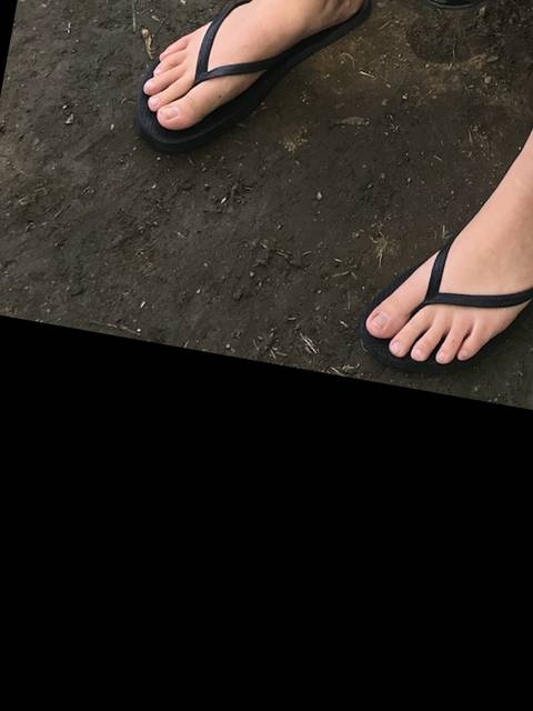 @u206408256 @u206408256