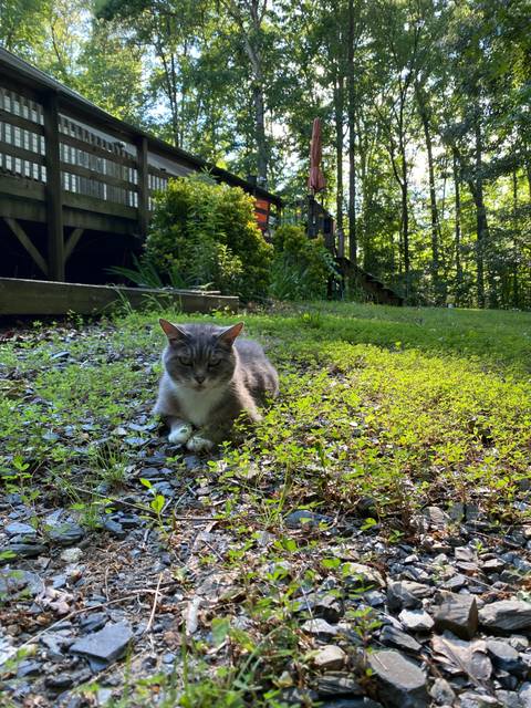 @madonnamashed1 nude madonnamashed1 nude