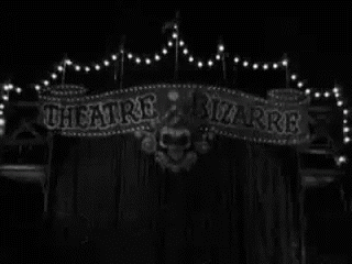 @cheetahcharmer nude cheetahcharmer nude