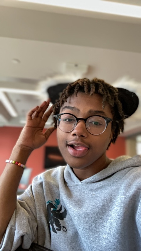 BabyBirdsPlay profile picture