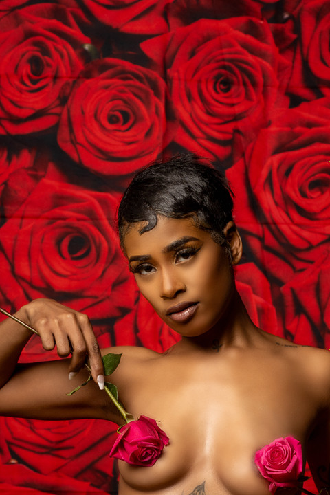 K A M R Y N  A L E X A N D R I A profile picture