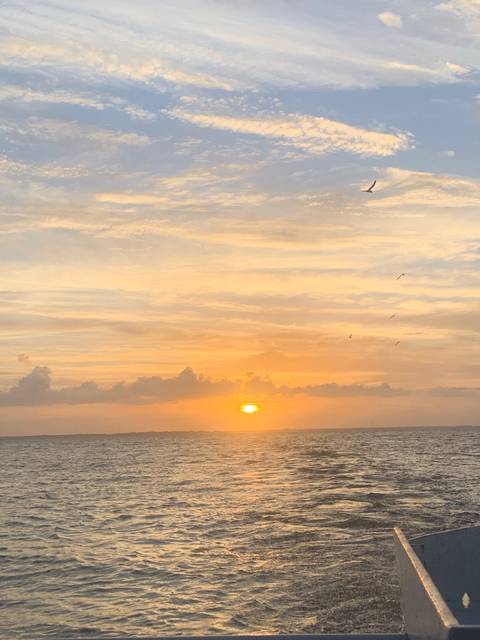 @kenzcat333 nude kenzcat333 nude