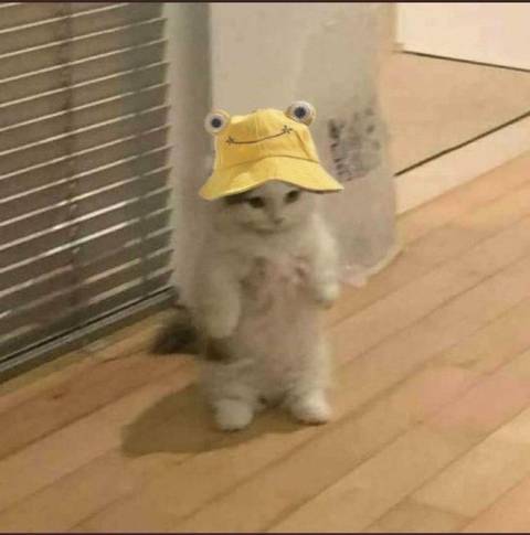 @ssecretangelxx @ssecretangelxx