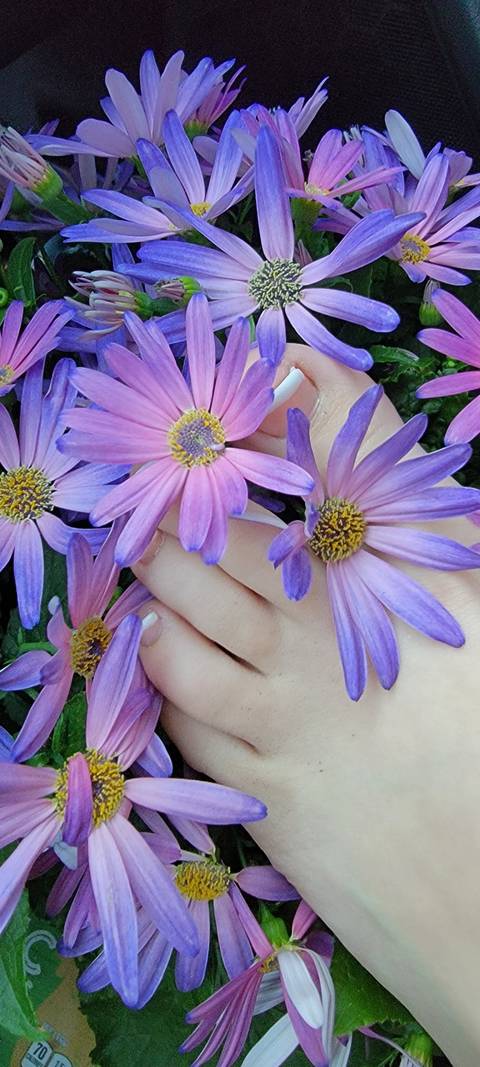 @fruityfootsieroll @fruityfootsieroll