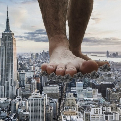 MacroWest profile picture