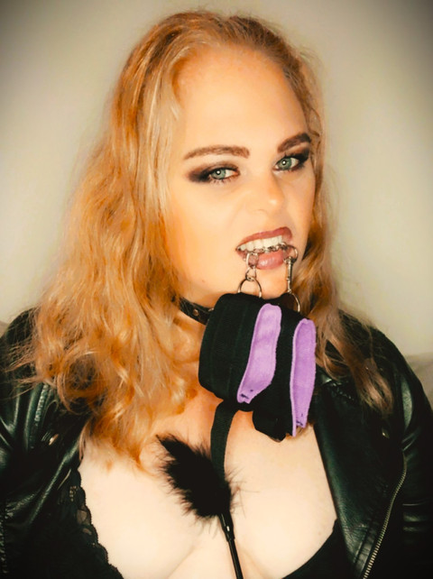 The Wild Rose Show! profile picture