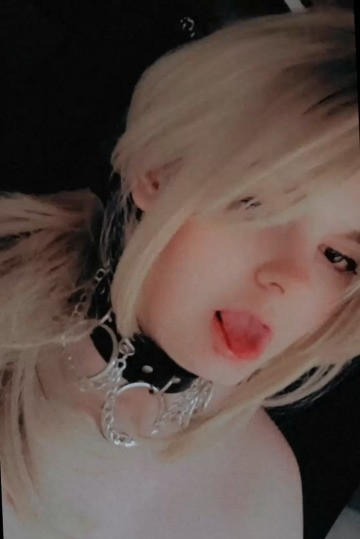 Ivory Quinn profile picture