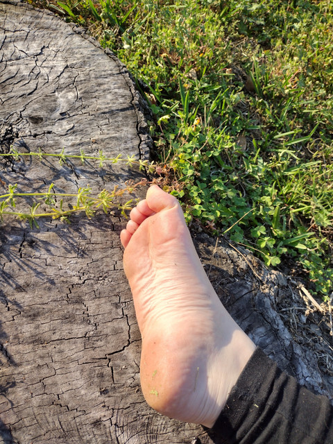 Rose profile picture