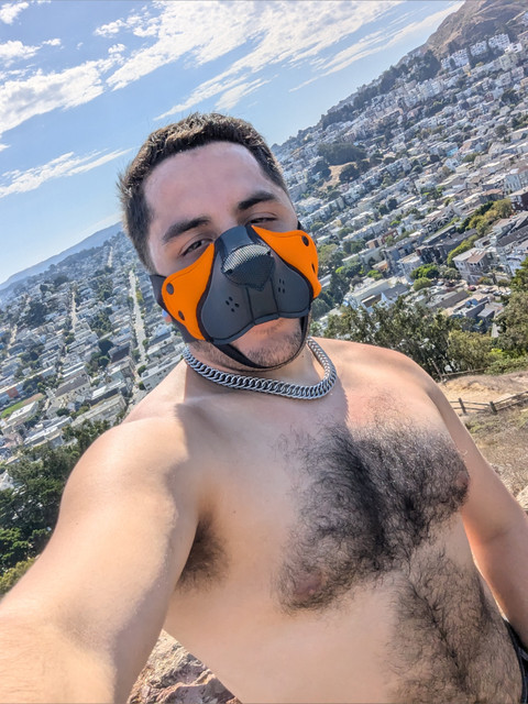 Pup Zero profile picture