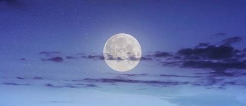 @callsmemoonlight nude callsmemoonlight nude