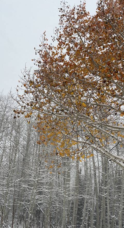 @kodi_unleashed nude kodi_unleashed nude