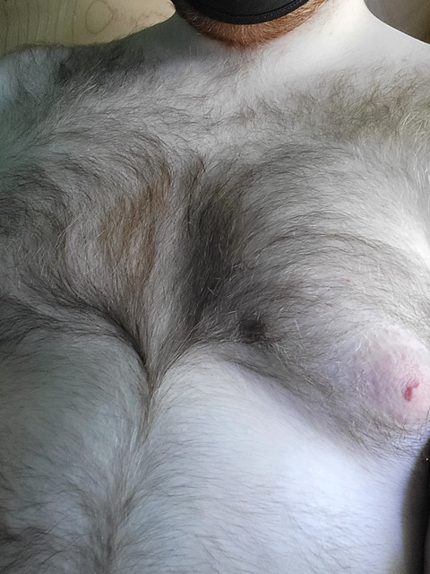 Enby Bear profile picture