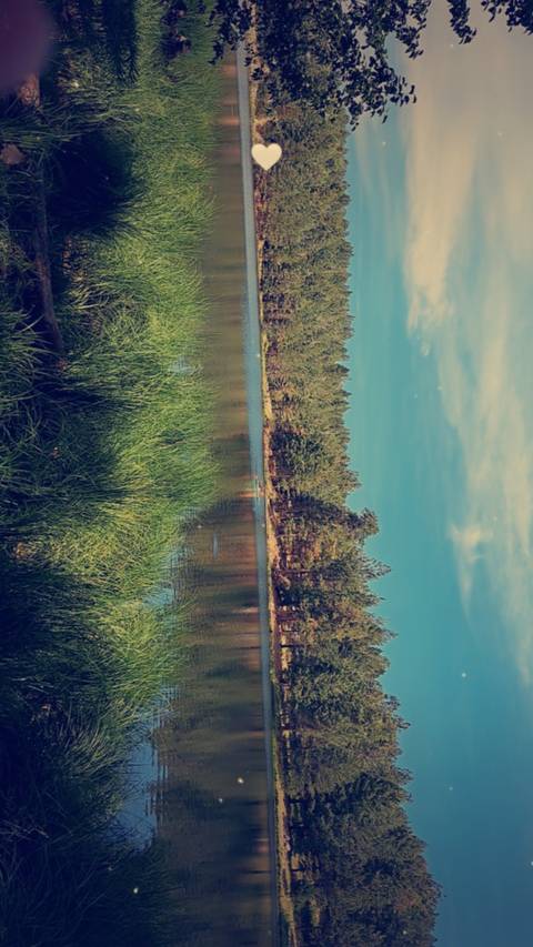 @latina_girl29 nude latina_girl29 nude