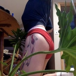 the boy with the fish tattoo profile picture