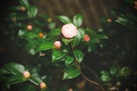 @dread912 nude dread912 nude