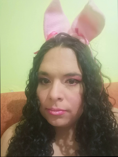Vixi Foxy profile picture
