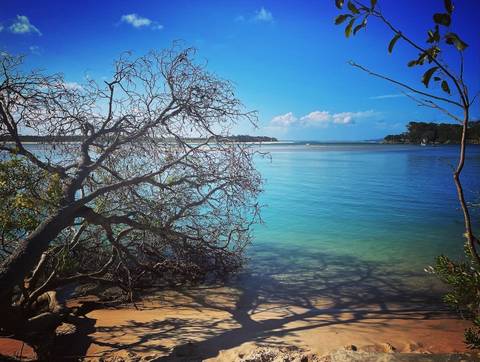 @x_transussy_x nude x_transussy_x nude