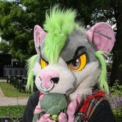 Meoxie profile picture