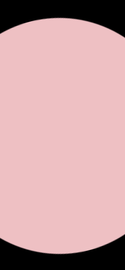 🥥🌊✨ profile picture