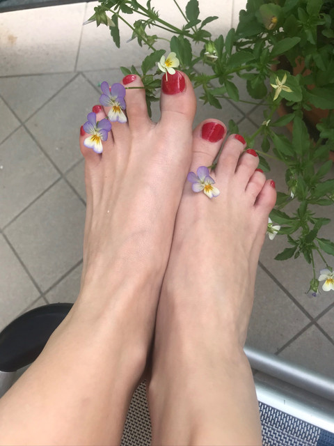 Blow_my_feet profile picture