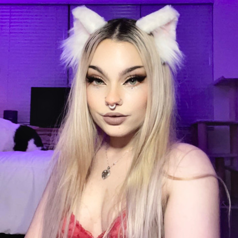 allie cat profile picture