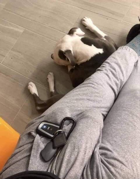 @u194417783 @u194417783