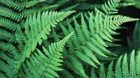 @sadbee22 nude sadbee22 nude