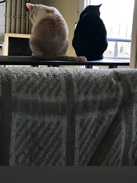 @taylorgreen nude taylorgreen nude